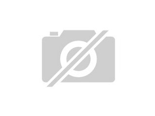 0. 0. 5 Leopardgeckos NZen 2021